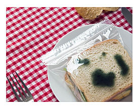This brilliant lunch bag will gross out would be sandwich