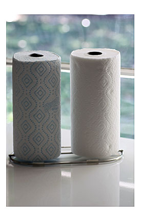 FREE Bounty Paper Towels + Dual Paper Towel Holder