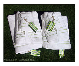 Cariloha bamboo towel set