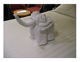 Joy Of The Towel Elephant Hospitality Industry Loves And Hates