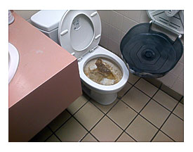 . Flush A Roll Of Brown Paper Towel. Folks That Is Not Going To Happen