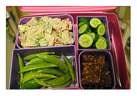 My Paleo Lunch Boxes Grain free, Gluten free, Low Carbohydrate .