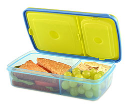 . Fresh Soft Touch Bento Lunch Box 3 Compartments Kids Or Adults EBay