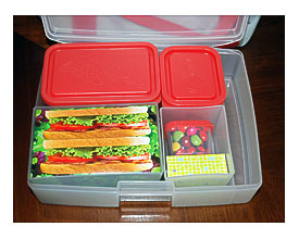 Bento Lunch Boxes For Adults With Portion Perfect » Nature Moms