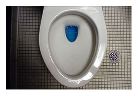 How To Repair A Leaking Toilet? » Leaky Toilet Test