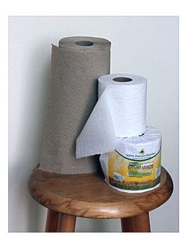Day 1 Use Recycled Toilet Paper The Small Fridge
