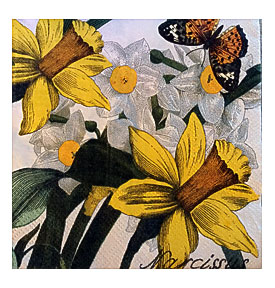 SALE 3 Decoupage Beverage Napkins Narcissus And By PacificSunset