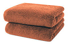 Towels By GUS Natural Plush Micro Cotton Towel