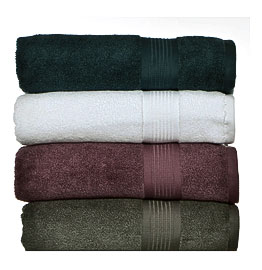 . Astor Micro Cotton 2 Piece Bath Towel Set Bath Towels At Hayneedle