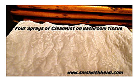 Bathroom Tissue CleanMist Life With Heidi