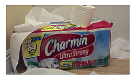 The Curiosity Shopper Charmin Ultra Strong Toilet Paper