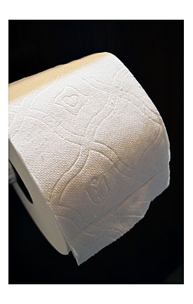 . Quilted Northern Ultra Soft & Strong® Mega Rolls So Be Sure To Check