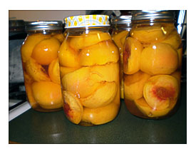 Here The Peaches Looked Beautiful Before Processing.
