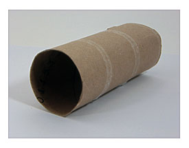 Paper Towel Roll Or Paper Towel Roll