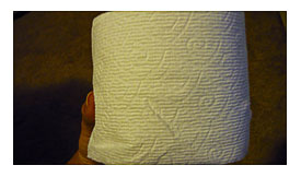Paper Rolls In Ever Toilet Paper Roll. Do You Know How Many Toilet .