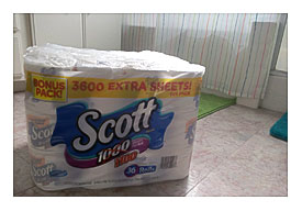Scott1000 Toilet Paper