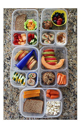 Divided Lunch Container Examples