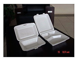 . Buy And Use Them For Disposable Products Styrofoam Take Out Plates
