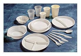 Paper Plates Related Keywords & Suggestions Wholesale Paper Plates .