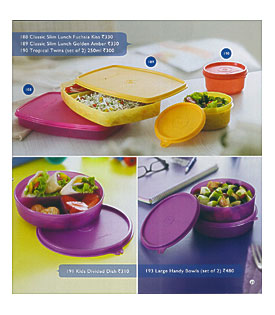 Tupperware Lunch Containers For Pinterest