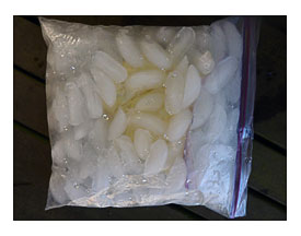 Gallon Size Freezer Bags Gallon Size Freezer Ziploc Bag