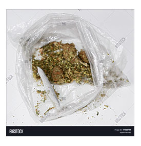 . Plastic Sandwich Bag With A Joint Rolled By Hand Stock Photo & Stock